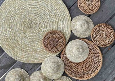 Oizys: Wheat-straws Corn Products