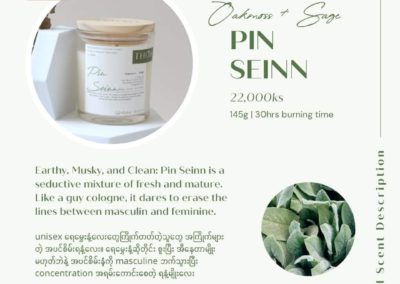 PIN SEINN